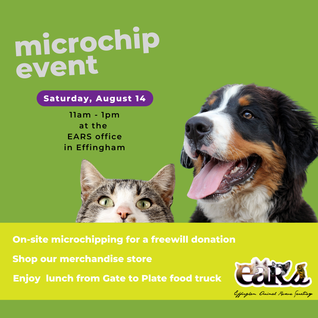 August 14 Microchip Event
